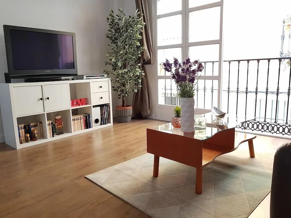 Charming 3 Bedrooms Historical Center Malaga Apartment